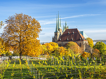 View of St. Severus' Church at Erfurt, the capital and largest city of the Central German state of Thuringia, Germany, Europe