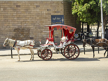 A horse drawn carriage waiting for passengers at the Nubian Museum in the city of Aswan, Egypt, North Africa, Africa