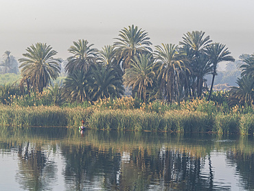 A fisherman in a small boat along the upper Nile River, amongst some of the most verdant land along the river, Egypt, North Africa, Africa