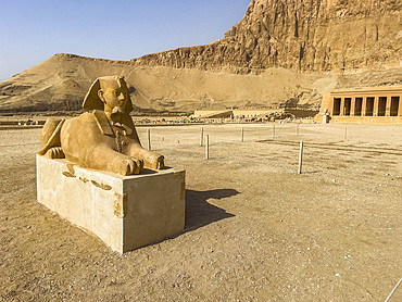 Sphinx at the base of the mortuary temple of Hatshepsut in Deir al-Bahri, built during the reign of Pharaoh Hatshepsut, UNESCO World Heritage Site, Thebes, Egypt, North Africa, Africa