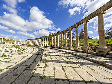 Columns in the Oval Plaza in the ancient city of Jerash, believed to be founded in 331 BC by Alexander the Great, Jerash, Jordan, Middle East