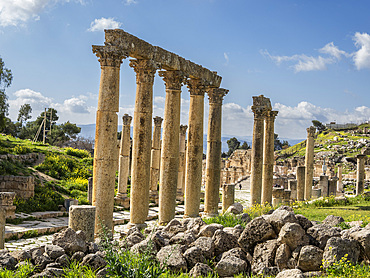 Columns in the Oval Plaza in the ancient city of Jerash, believed to be founded in 331 BC by Alexander the Great, Jerash, Jordan, Middle East