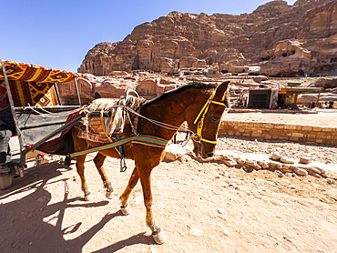 Donkey cart, Petra Archaeological Park, UNESCO World Heritage Site, one of the New Seven Wonders of the World, Petra, Jordan, Middle East