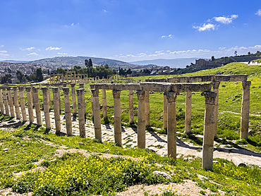 Columns line a street in the ancient city of Jerash, believed to be founded in 331 BC by Alexander the Great, Jerash, Jordan, Middle East