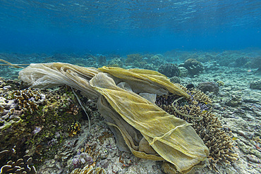 Abandoned ghost net trapped in the shallow reefs off Bangka Island, off the northeastern tip of Sulawesi, Indonesia, Southeast Asia, Asia