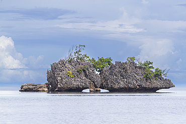 A view of limestone islets covered in vegetation in Batu Hatrim, Raja Ampat, Indonesia, Southeast Asia, Asia