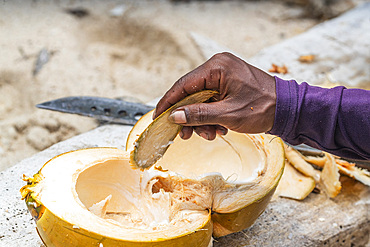 Local man eating a fresh coconut on Batu Hatrim, Raja Ampat, Indonesia, Southeast Asia, Asia