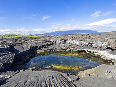 Pahoehoe lava on the youngest island in the Galapagos, Fernandina Island, Galapagos Islands, UNESCO World Heritage Site, Ecuador, South America