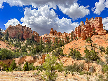 A view from the Mossy Cave Trail of red rock and hoodoos, Bryce Canyon National Park, Utah, United States of America, North America