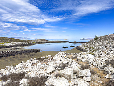 The inner lagoon on Isla Rasa, an important nesting site for terns and gulls, Baja California, Sea of Cortez, Mexico, North America