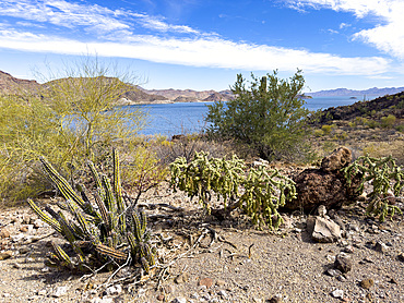 A view from the surrounding mountains of Concepcion Bay, Baja California Sur, Sea of Cortez, Mexico, North America