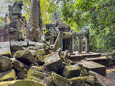 Ta Prohm Temple, a Mahayana Buddhist monastery built in the late 12th century for Khmer king Jayavarman VII, Angkor, UNESCO World Heritage Site, Cambodia, Indochina, Southeast Asia, Asia