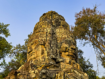 Ta Prohm Temple, a Mahayana Buddhist monastery built in the late 12th century for Khmer king Jayavarman VII, Angkor, UNESCO World Heritage Site, Cambodia, Indochina, Southeast Asia, Asia