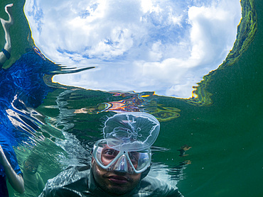 Snorkeler with moon jellyfish (Aurelia sp), in Jellyfish Lake, located on Eil Malk island, Rock Islands, Palau, Micronesia, Pacific