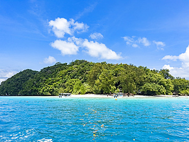 Example of the thick foliage and undercut islets near a tourist island, Palau, Micronesia, Pacific