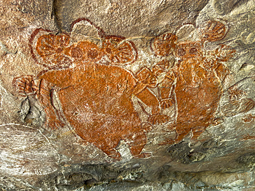 Wandjina art form of various animals on King Leopold Sandstone, Swift Bay, Kimberley, Western Australia, Australia, Pacific