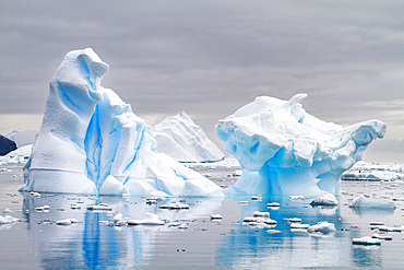 Icebergs near the Antarctic Peninsula during the summer months, Antarctica, Southern Ocean, Polar Regions