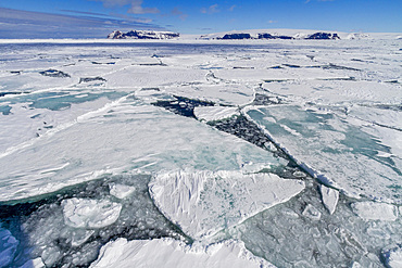 First year sea ice forming floes in Antarctic Sound, Southern Ocean, Polar Regions