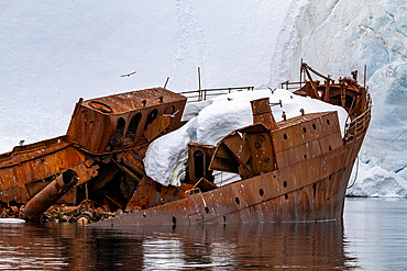 Views of the wreck of the Guvernoren, a 20th century whale processing ship, in the Enterprise Islands, Antarctica, Polar Regions