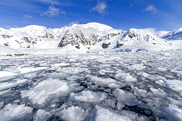 View of calm seas and reflected mountains surrounding Paradise Bay on the western side of the Antarctic Peninsula, Polar Regions