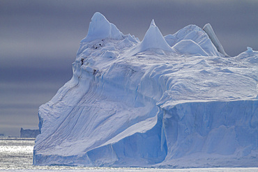 Tabular icebergs in and around the Weddell Sea during the summer months, Antarctica, Southern Ocean.