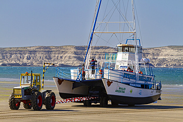 A commercial whale watching boat being launched at the beach at low tide in Puerto Pyramides, Golfo Nuevo, Argentina, South America