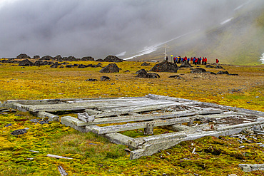 Lindblad Expeditions guests explore Cape Flora on Northbrook Island in Franz Josef Land, Russia, Arctic Ocean, Eurasia