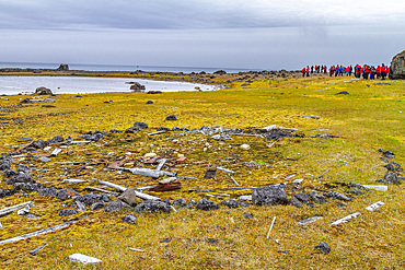 Lindblad Expeditions guests explore Cape Flora on Northbrook Island in Franz Josef Land, Russia, Arctic Ocean.