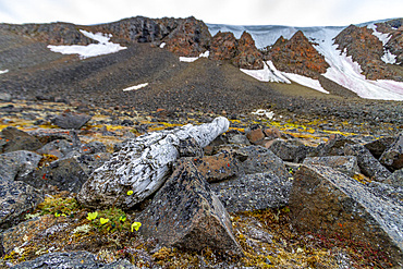 The remains of the camp where Fridtjof Nansen over-wintered with Hjalmar Johansen in 1895-96, Franz Josef Land, Russia, Arctic Ocean, Eurasia