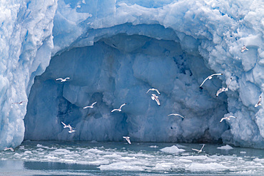 Views of the Monacobreen (Monaco Glacier), in Haakon VII Land on the island of Spitsbergen in Svalbard , Norway.