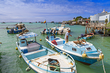 Scenes from the fish market in the port town of Puerto Ayora, Santa Cruz Island, Galapagos Islands, Ecuador.