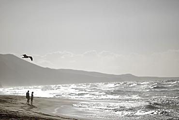 Couple at beach, Fuerteventura, Spain