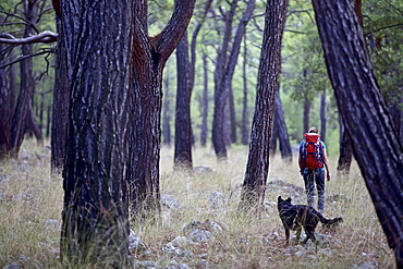 Woman and a dog hiking along long-distance footpath Lycian Way, Antalya, Turkey