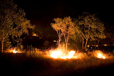 A bushfire burning at night, near Lake Argyle, near Kununurra, Western Australia, Australia