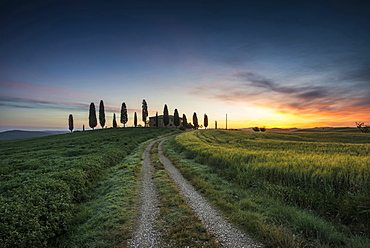 landscape near Pienza, Val d`Orcia, province of Siena, Tuscany, Italy, UNESCO World Heritage