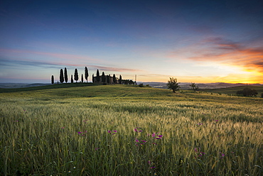 landscape near Pienza, Val d`Orcia, province of Siena, Tuscany, Italy, UNESCO World Heritage