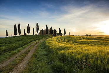 landscape near Pienza, Val d`Orcia, province of Siena, Tuscany, Italy, UNESCO World Heritage