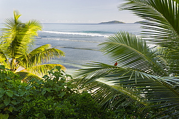 Beach, Anse Patates, La Digue Island, Seychelles