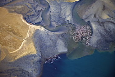 Aerial shot, flying flamingos over the lagoon of Sandwich Harbour, Namibia