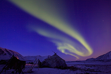 Aurora, aurora borealis, over the Yarangas of Reindeer nomads, Chukotka Autonomous Okrug, Siberia, Russia