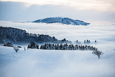 sunset, Schauinsland, near Freiburg im Breisgau, Black Forest, Baden-Württemberg, Germany