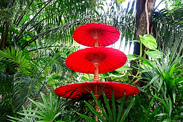 Umbrellas and tropical plants, Lamai Beach, Island of Samui, Golf of Thailand, Thailand