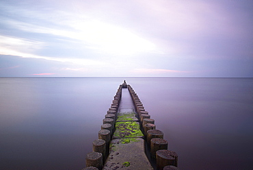 Groynes at the Baltic sea in the evening atmosphere, Dierhagen, Mecklenburg Vorpommern, Germany