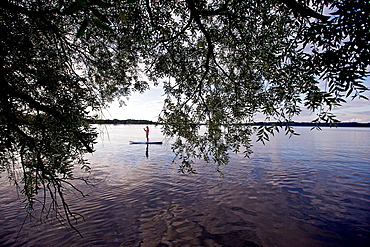 Woman stand up paddling on lake Chiemsee, Chiemgau, Bavaria, Germany