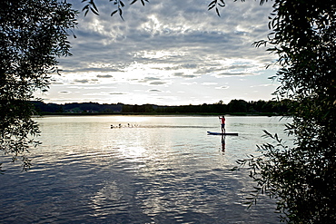 Woman stand up paddling on lake Chiemsee in sunset, Chiemgau, Bavaria, Germany