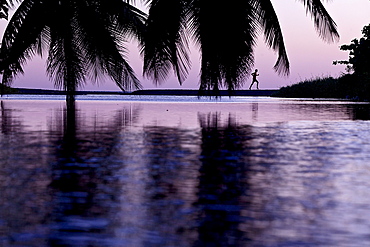 Man running along beach in sunet, Dominica, Lesser Antilles, Caribbean