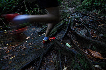 Young man running through a jungle, Dominica, Lesser Antilles, Caribbean