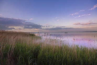 Saaler Bodden in the Western Pomerania Lagoon Area National Park seen from Dierhagener harbour with clouds in the evening sky, Dierhagen, Fischland-Darss-Zingst, Mecklenburg-Western Pomerania, Germany