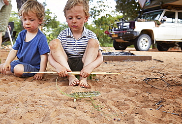 Two boys looking at a chameleon, Khaudum, Namibia