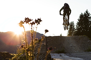 Mountain biker in Bike park Saalbach-Hinterglemm, Salzburg, Austria